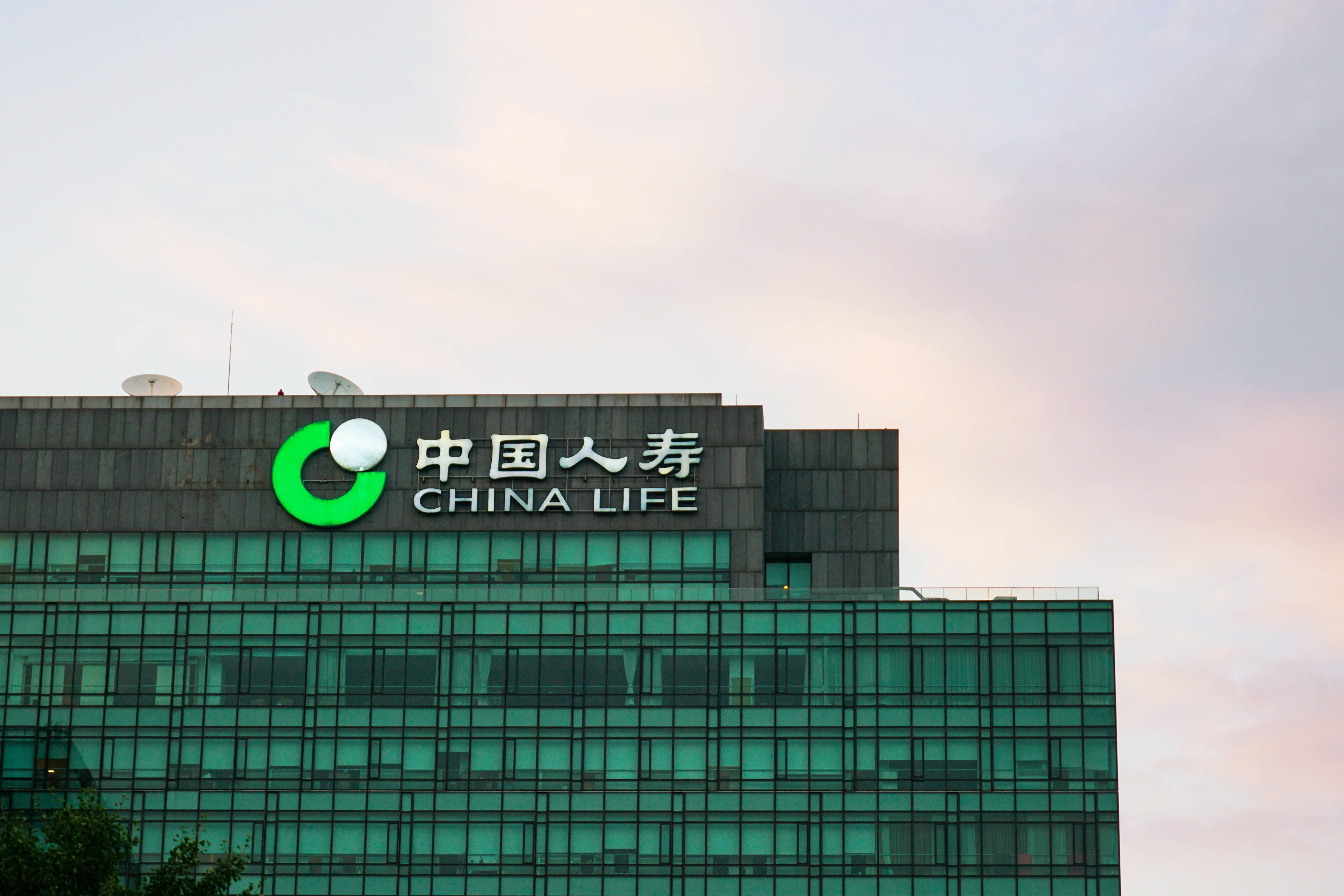 上半年股票基金配置比例升至13.6%，关注高股息股票……中国人寿管理层业绩会这样说