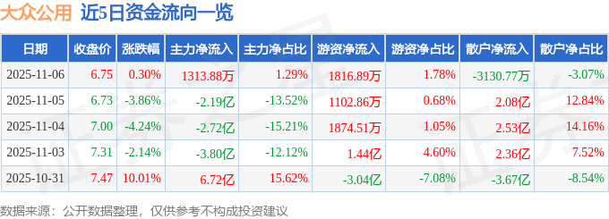 股票行情快报：大众公用（600635）11月6日主力资金净买入1313.88万元