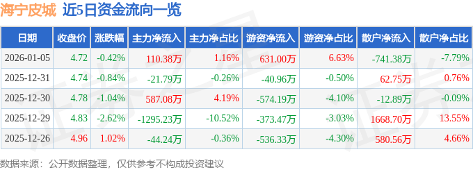 股票行情快报：海宁皮城（002344）1月5日主力资金净买入110.38万元