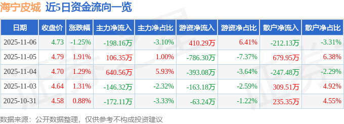 股票行情快报：海宁皮城（002344）11月6日主力资金净卖出198.16万元